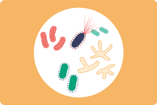 Virus og bakterier, illustrasjon