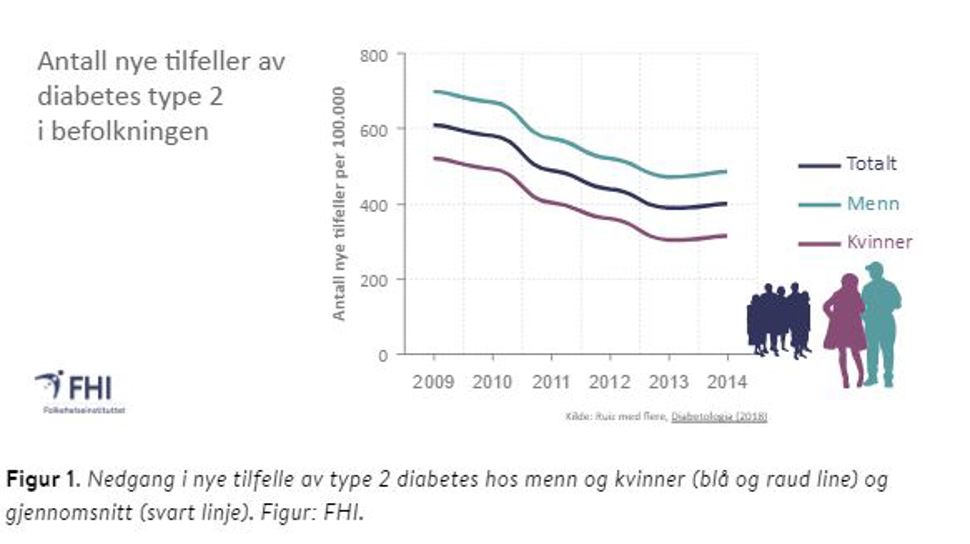 Diabetes fig 1_insidens.JPG