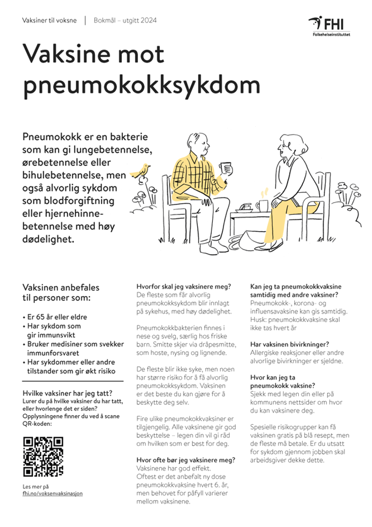 Skjermdump av infoark om pneumokokksykdom