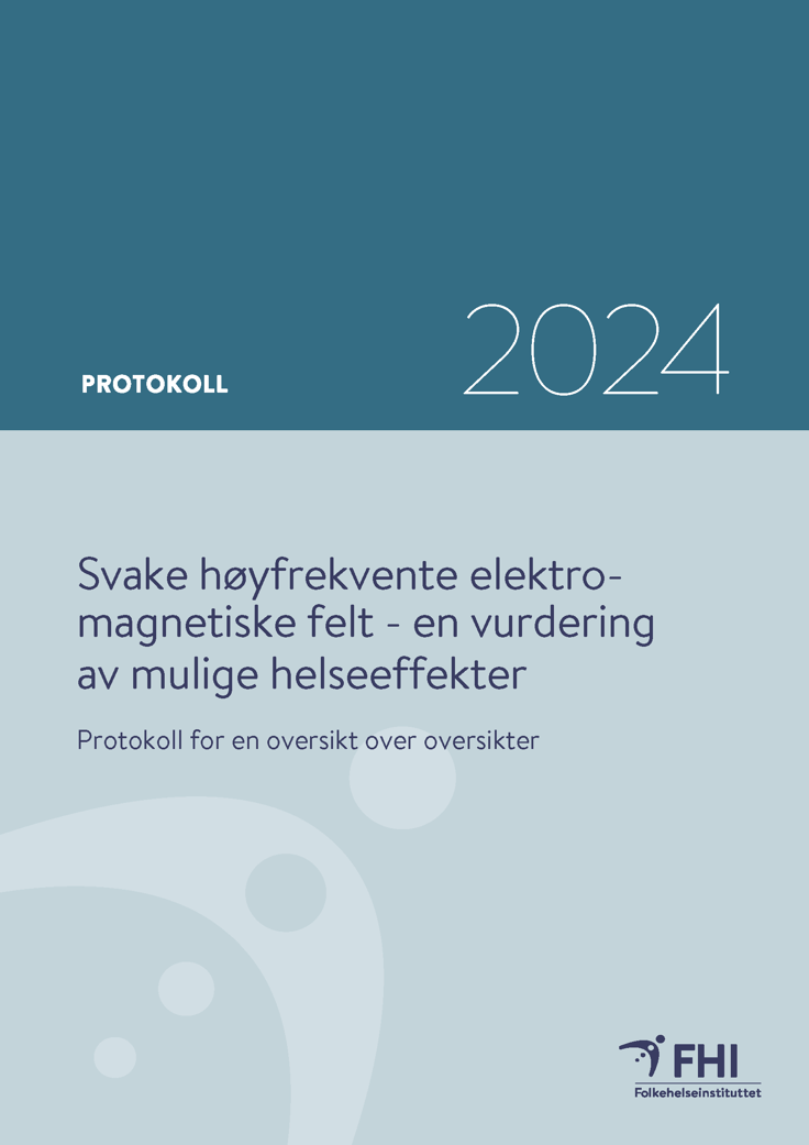 Revidert prosjektplan EMF_Side_01.png