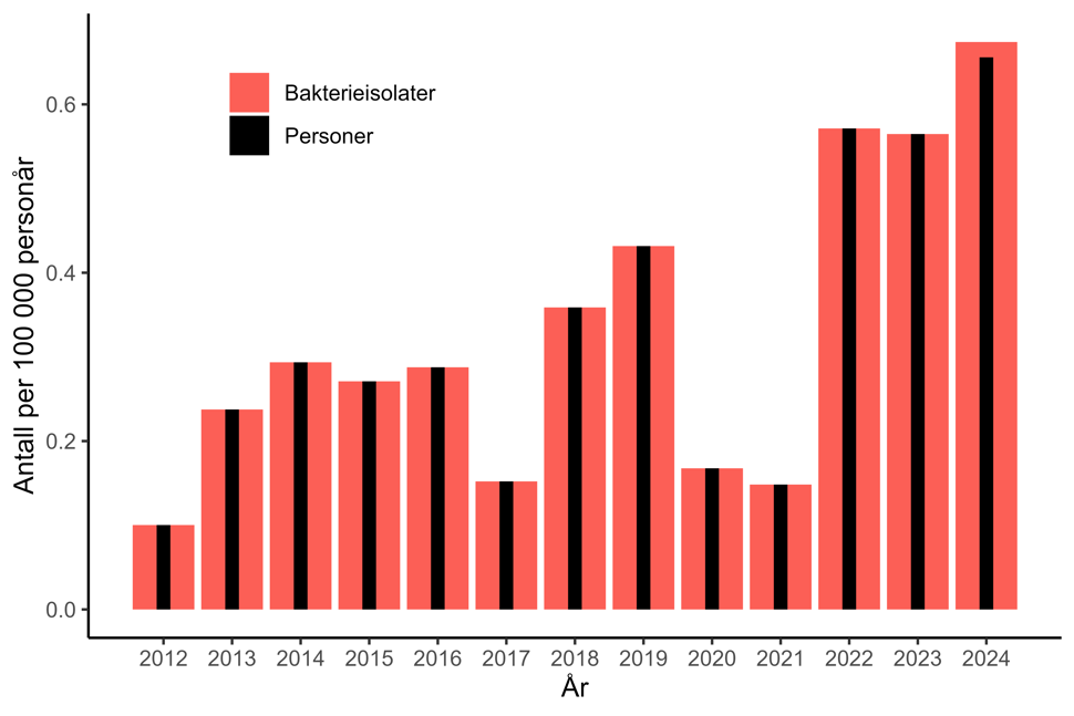 Figur 13. Antall personer og bakterieisolater per 100.000 personår med karbapenemaseproduserende Acinetobacter spp. meldt til MSIS i perioden 2012-11.11.2024.