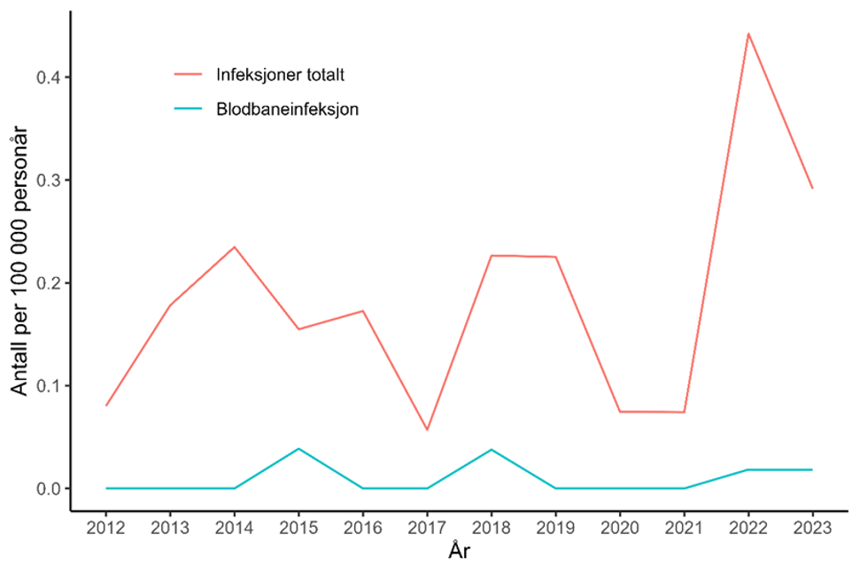 Figur 15. Antall personer per 100.000 personår meldt til MSIS med infeksjon med karbapenemaseproduserende Acinetobacter spp. i perioden 2012-2023 fordelt på infeksjoner og blodbaneinfeksjoner.